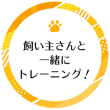 飼い主さんと一緒にトレーニング！