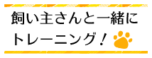 飼い主さんと一緒にトレーニング！